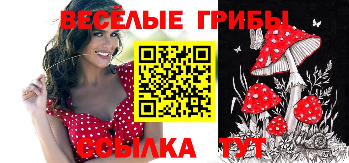 Качканар  Галлюциногенные грибы Cubensis  закладки  Вход с VPN 